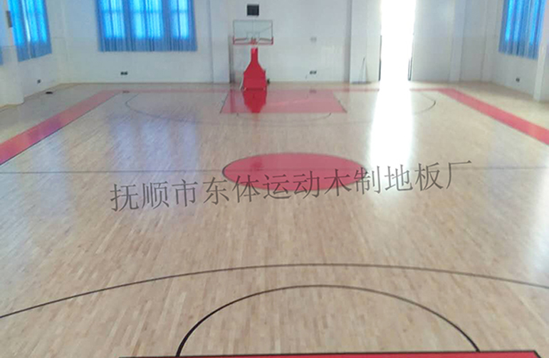 Shandong Dezhou Ningjin Basketball Court