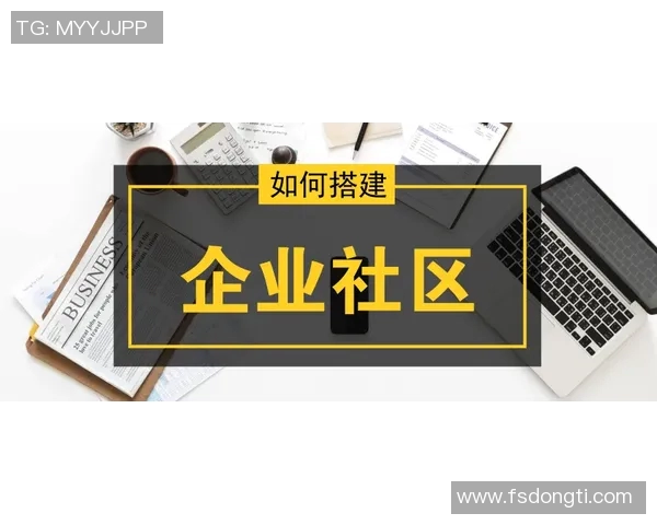 飞盘新手必看：从零基础到高手的全面训练与技巧指南