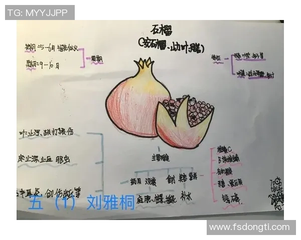 探索水果与蔬菜的健康奥秘:营养价值、搭配技巧与食用方式全解析 探索水果与蔬菜的健康奥秘:营养价值、搭配技巧与食用方式全解析