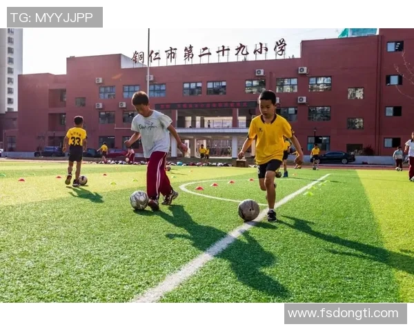 《从棒球场到人生赛道:探索运动精神与团队协作的深刻意义》 《从棒球场到人生赛道:探索运动精神与团队协作的深刻意义》