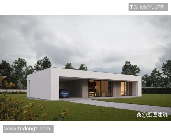 现代建筑装饰设计趋势与创新材料应用分析及其对空间美学的影响 现代建筑装饰设计趋势与创新材料应用分析及其对空间美学的影响