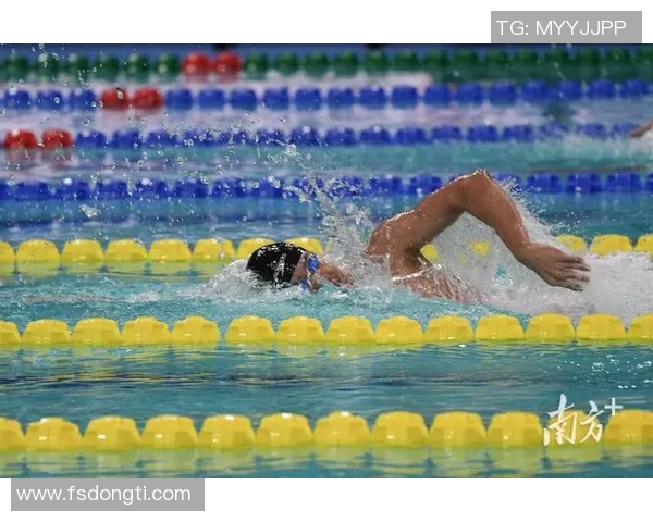 自由泳训练技巧与体能提升全面解析助力游泳水平突破 自由泳训练技巧与体能提升全面解析助力游泳水平突破